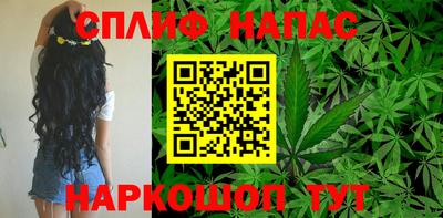 МДПВ Нальчик