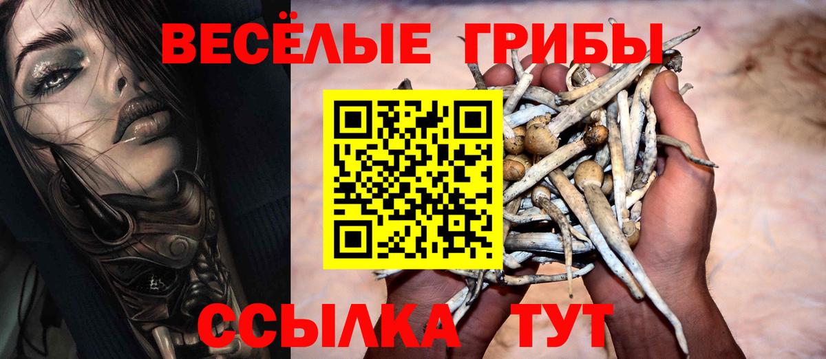 Псилоцибиновые грибы GOLDEN TEACHER  Вход с VPN  Строитель 